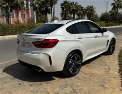 بي ام دبليو X6